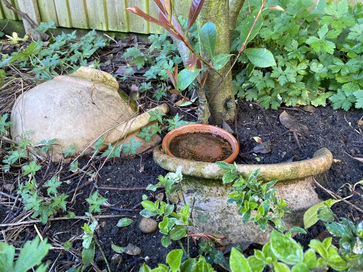 frog house using old terracotta pot