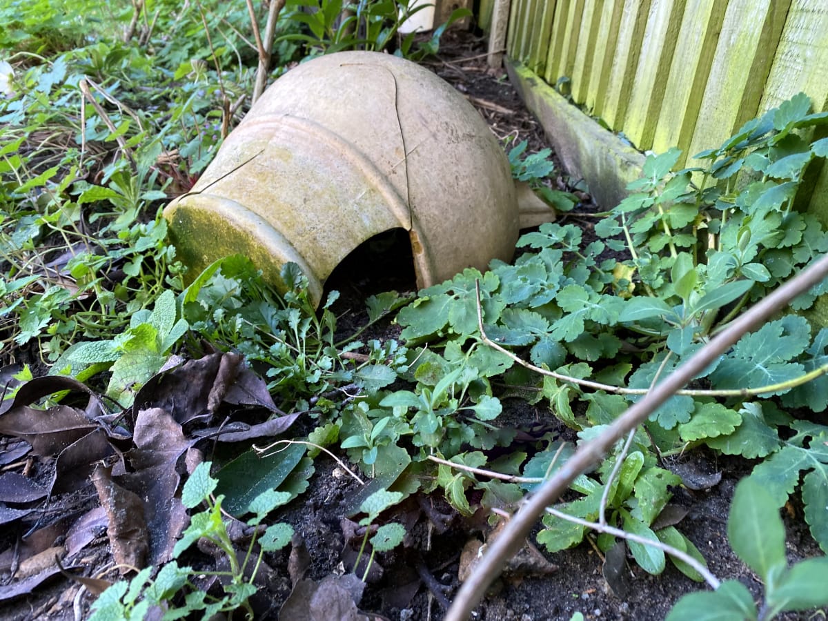 frog house using old terracotta pot