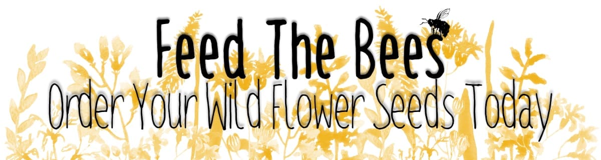 Shop Wildflower Seeds