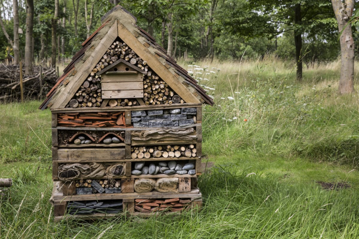 Large Bug Hotel