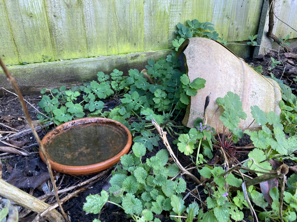 frog house using old terracotta pot