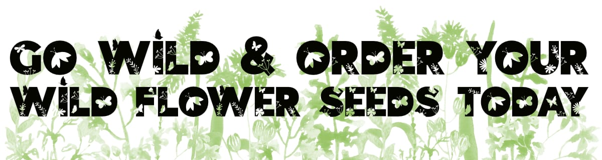 Shop Wildflower Seeds