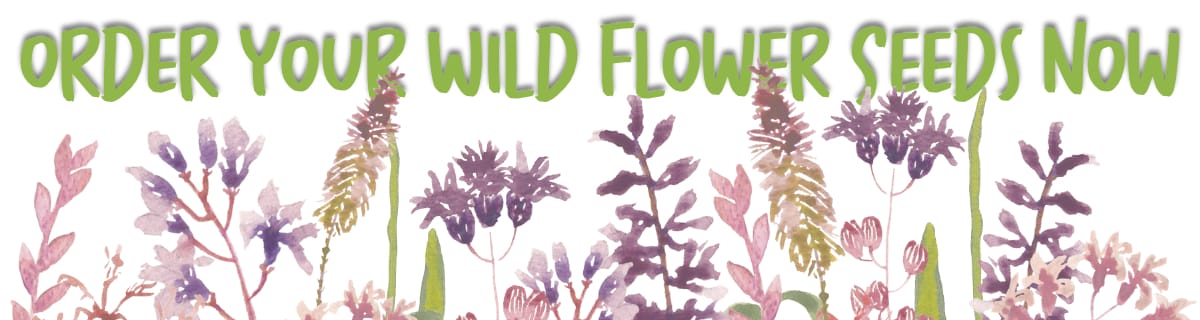 Shop Wildflower seeds