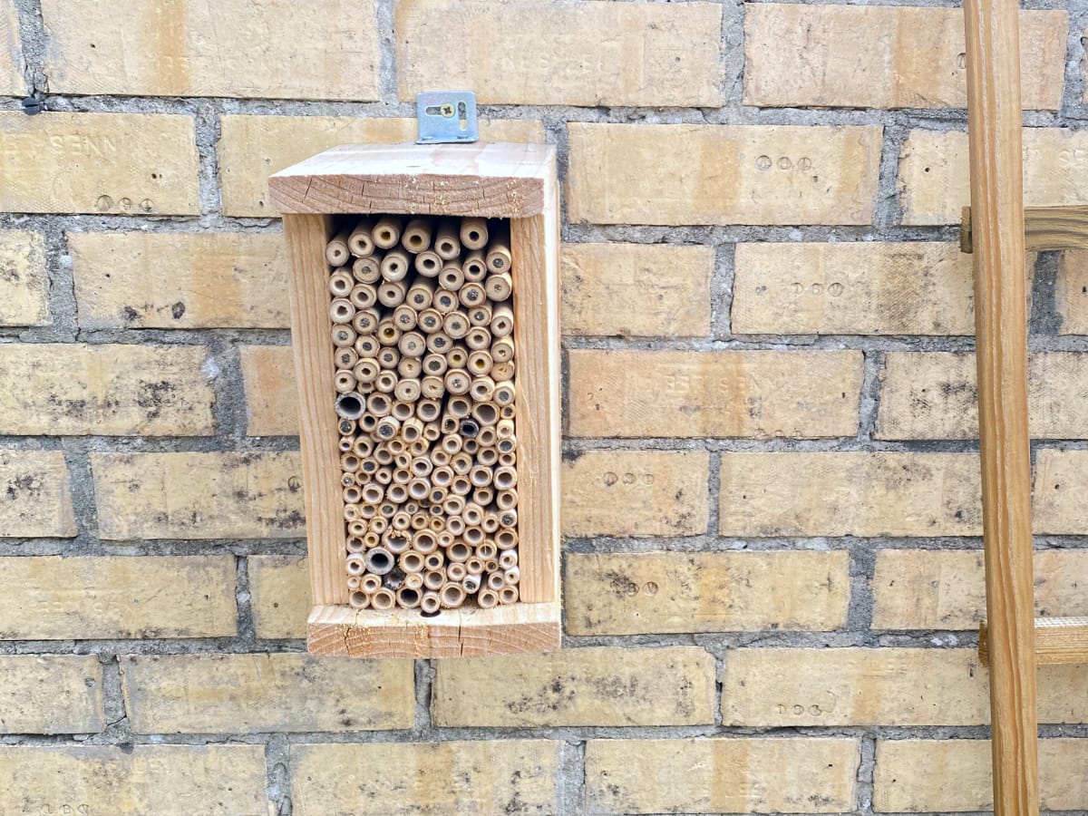homemade bee hotel homemade bee hotel