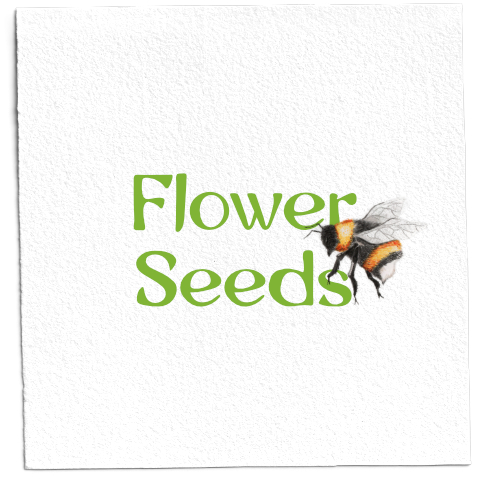 Flower Seeds